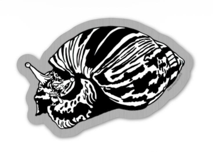 Sticker - Snail