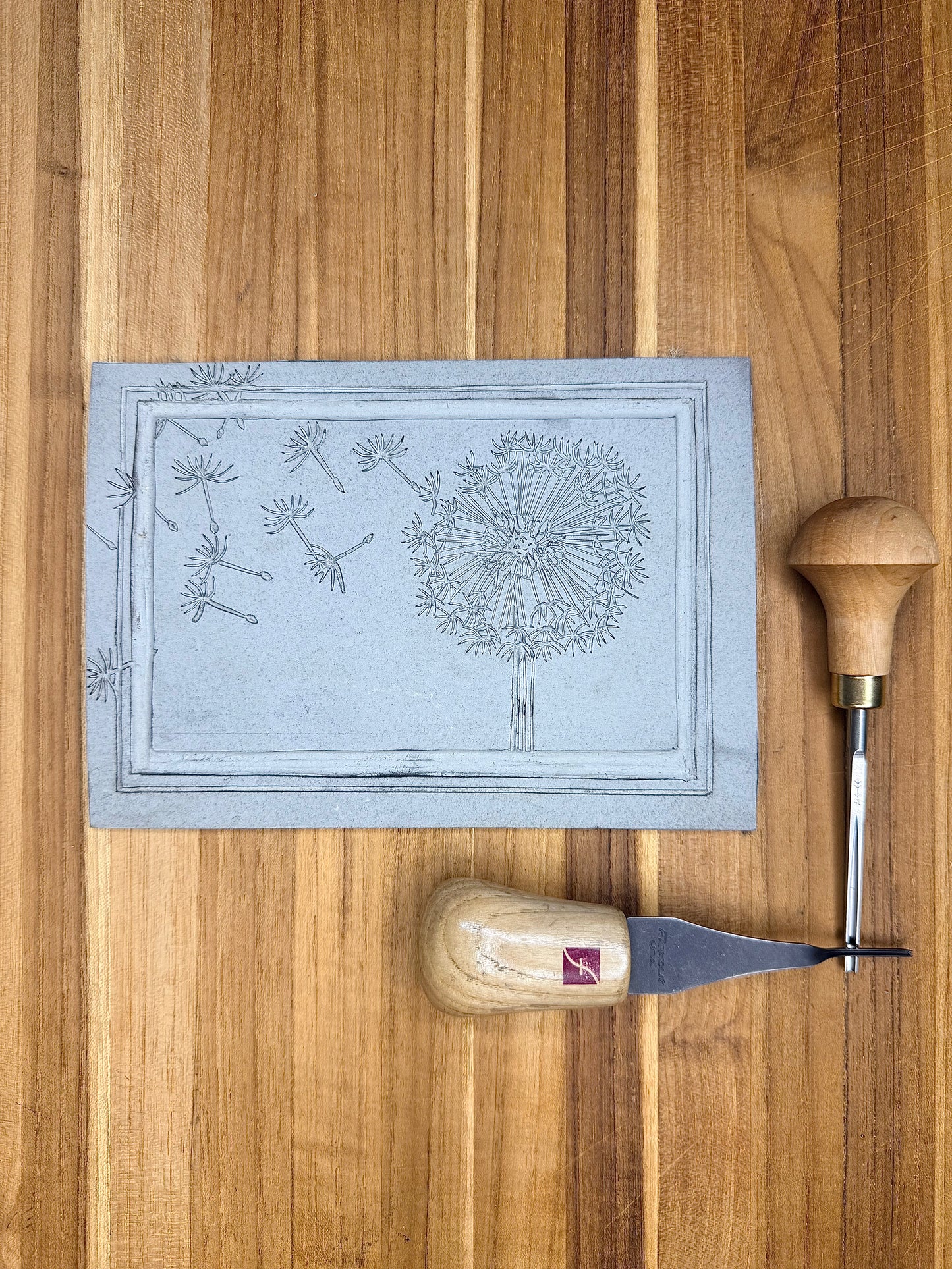 Print - Dandelion (paper variations)
