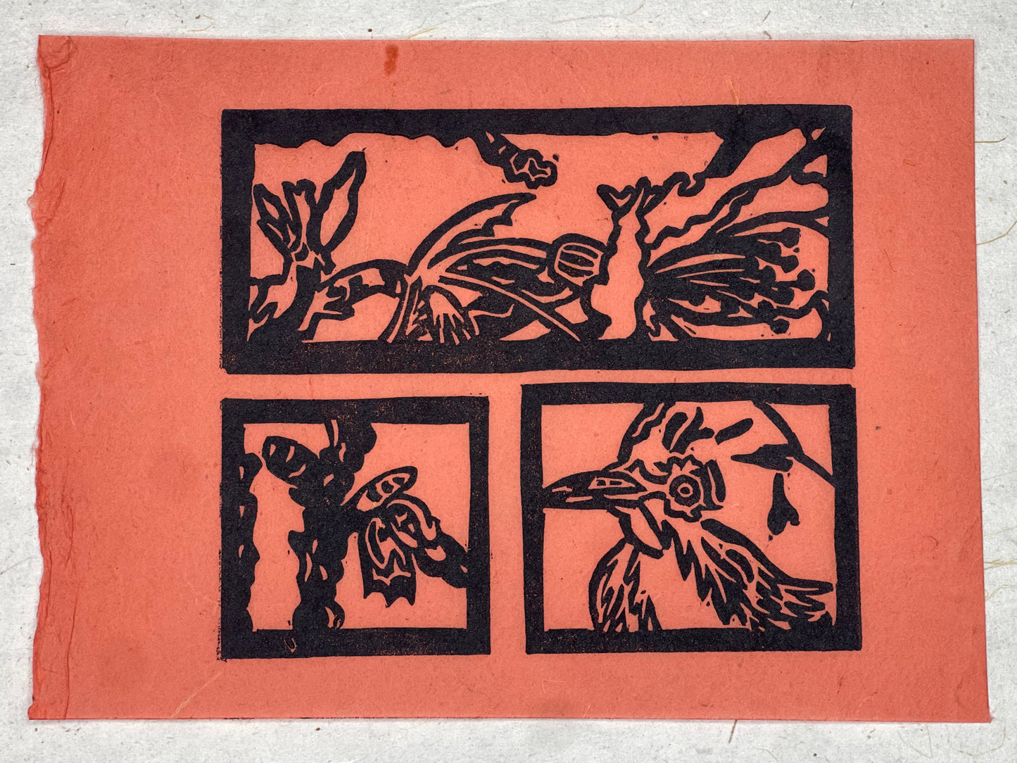 Print - Sakura + Mejiro (Limited Edition)