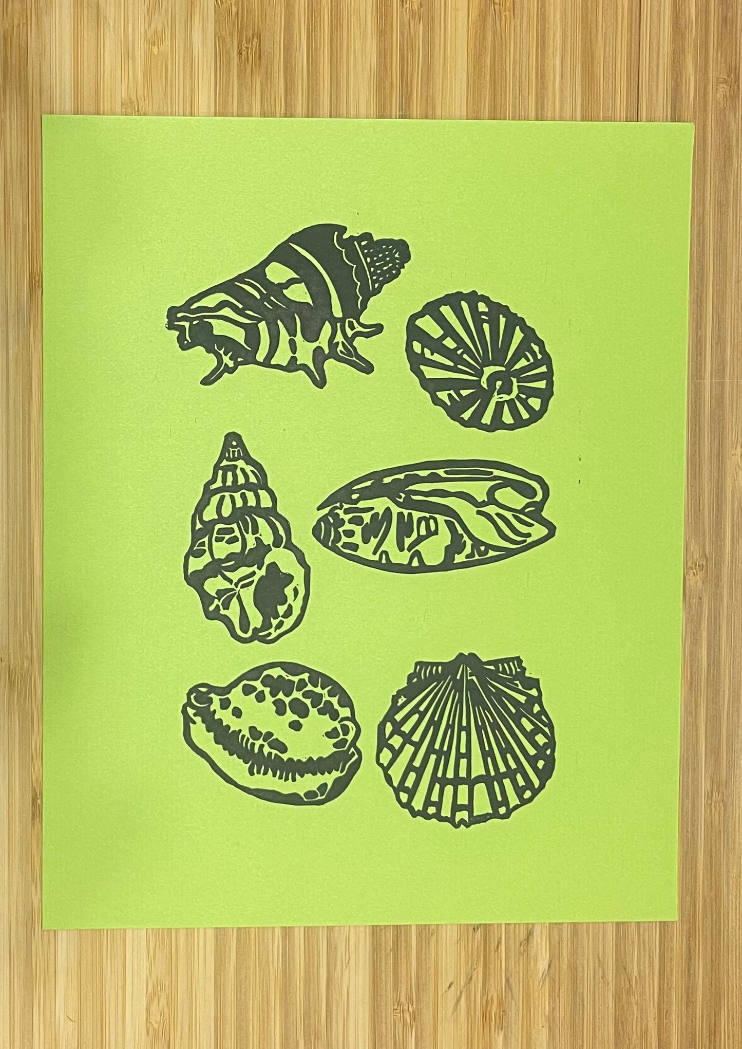 Print - Seashells