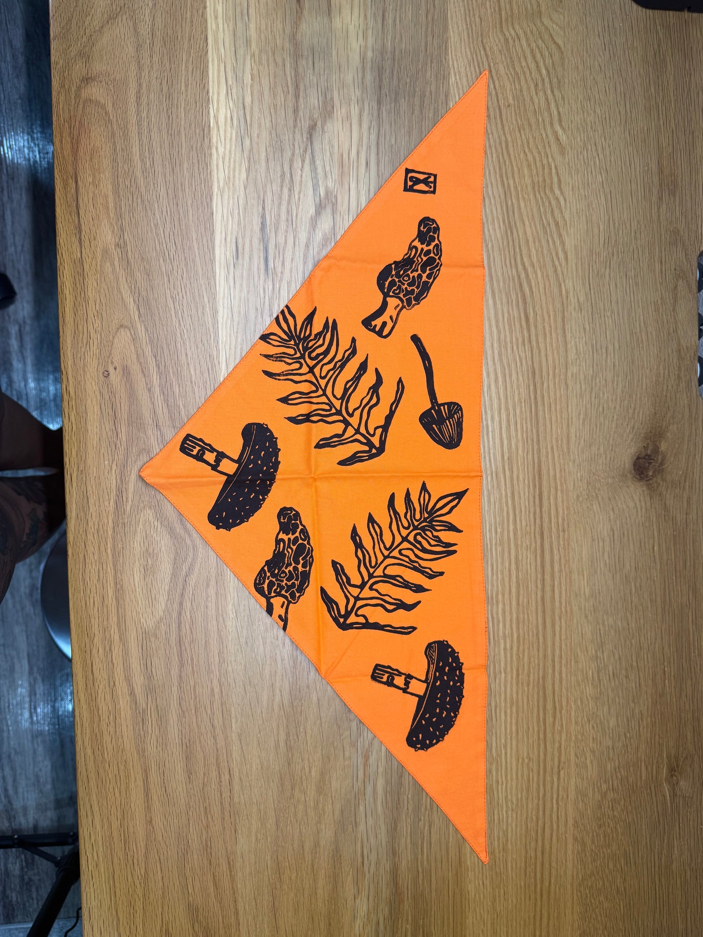 Pet Bandana - Small Variety
