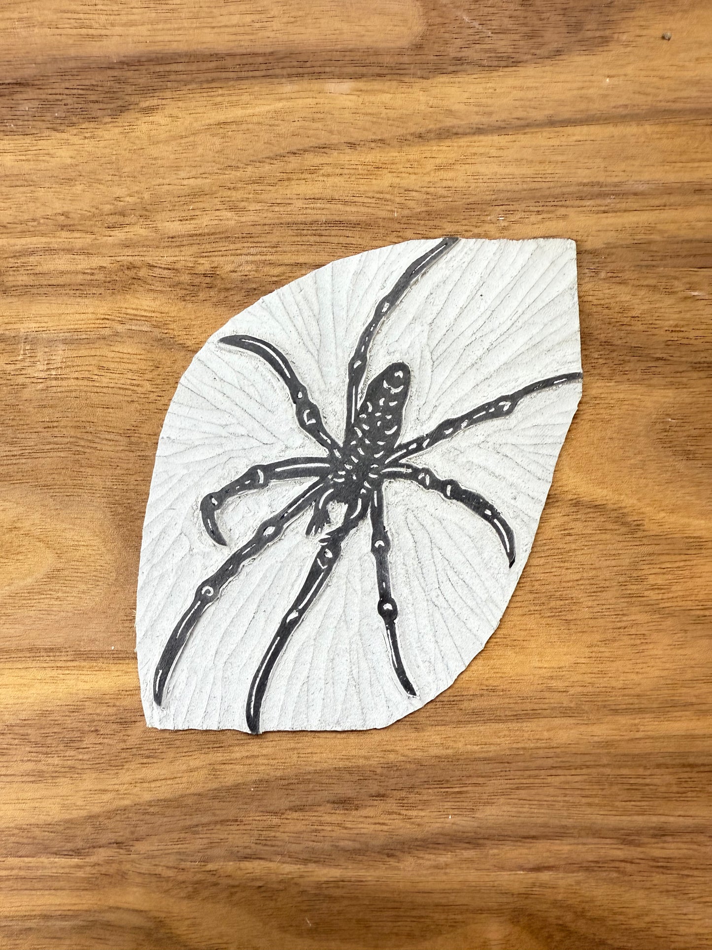 Framed - Banana Spider