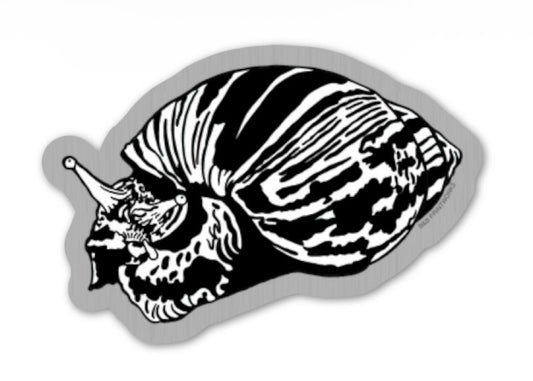 Sticker - Snail