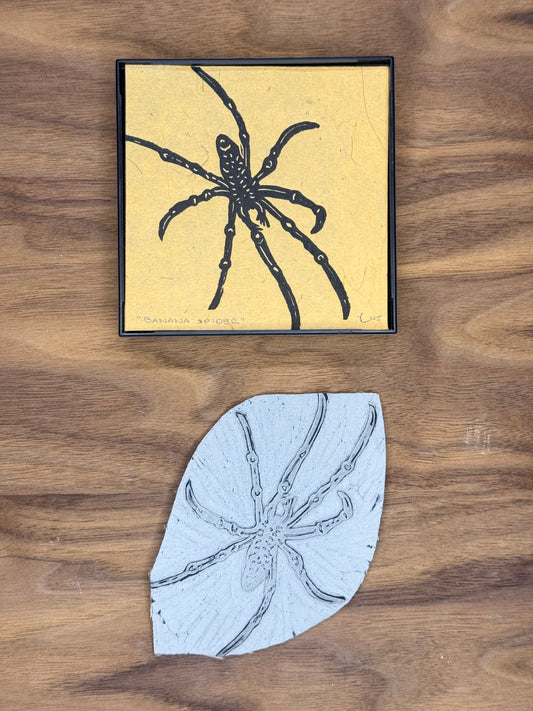 Framed - Banana Spider