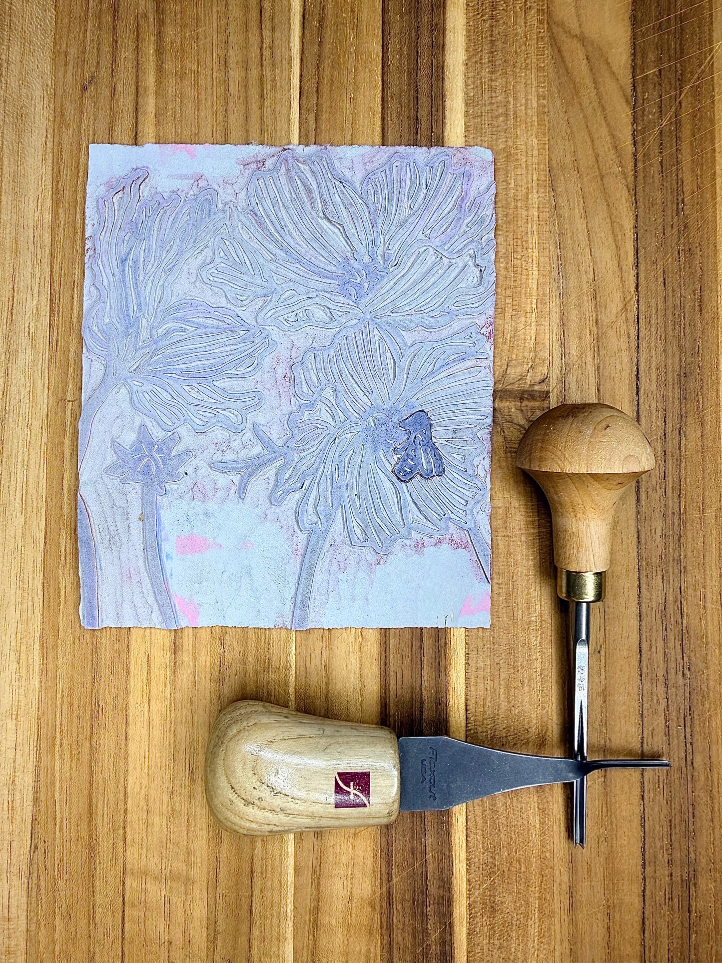 Print - Cosmo Fields