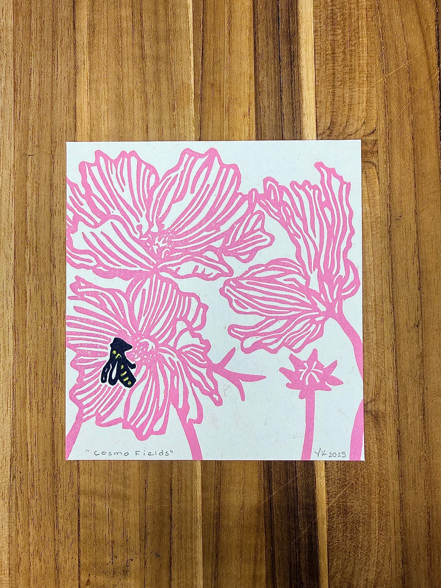 Print - Cosmo Fields